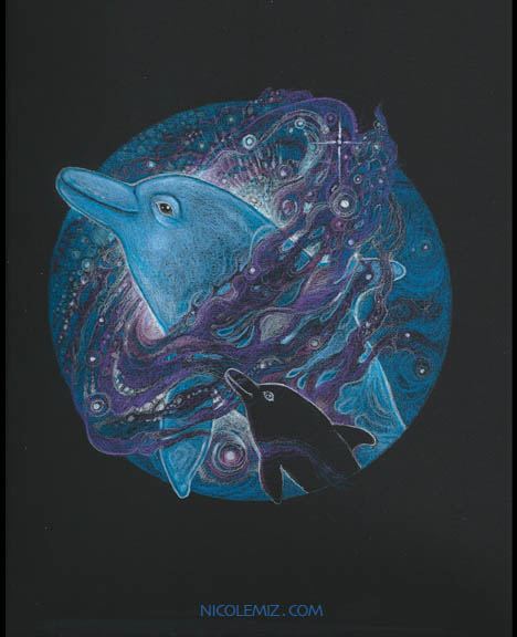 dolphin galaxy 6 by nicole mizoguchi