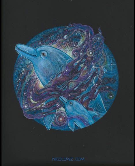 dolphin galaxy 7 by nicole mizoguchi