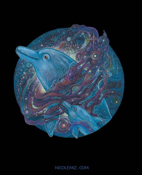dolphin galaxy 8 by nicole mizoguchi